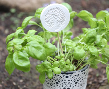 Silikon - Gießform - Blumenstecker - Anhänger - Deko - Muster - Nr. 17 - vielfältig nutzbar