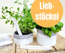 Liebstöckel - Silikon - Gießform - Kräuterschild - Gemüseschild - 2er Set - Wunschgeschenk