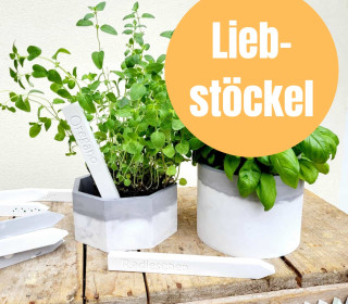 Liebstöckel - Silikon - Gießform - Kräuterschild - Gemüseschild - 2er Set - Wunschgeschenk