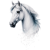 HorsePearlStarlight
