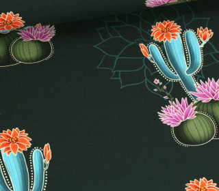 Bio-Sommersweat - French Terry - Prairie Blossom - Western Fairy Tales - Opalgrün - Hamburger Liebe