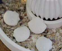 Silikon - Gießform - Mini Muscheln & Seestern - Maritim - Muscheln 4 - vielfältig nutzbar