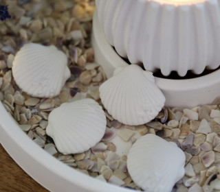 Silikon - Gießform - Mini Muscheln & Seestern - Maritim - Muscheln 4 - vielfältig nutzbar