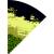 nein_GracefulTiger