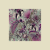 ja_IndigoJunglePink
