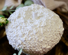 Silikon - Gießform - Großer Apfel mit Blüten - Blütenapfel - vielfältig nutzbar