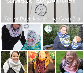 Ebook Kombipack Schaltuch 