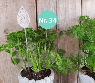 Silikon - Gießform - Blumenstecker - Anhänger - Deko - Muster - Nr. 34 - vielfältig nutzbar