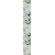 Eukalyptus
