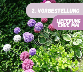 ZWEITE PREORDER - Silikon - Gießform - Blumenkugel - Allium/Zierlauch - Blüte - vielfältig nutzbar
