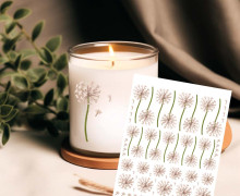 Rub-On Sticker - Pusteblumen - Bunt - KnilchArt Design - Tante Henni Rub-Ons - vielfältig nutzbar