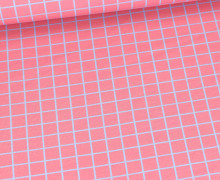 Bio-Sommersweat - French Terry - Grids - Beetles & Bugs - Altrosa/Pastellblau - Hamburger Liebe
