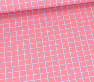 Bio-Sommersweat - French Terry - Grids - Beetles & Bugs - Altrosa/Pastellblau - Hamburger Liebe