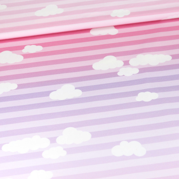 0,6m Zuschnitt Modal Jersey Regenbogennixe Kombipaneel