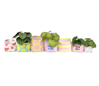 DIY-Nähset - Blumentopf - Utensilo - Summer Vibes 2.0 - studio.mARTinchen - abby and amy