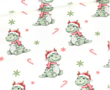 Sommersweat - Kleiner T-Rex - Winter - Weiß - Bio Qualität - abby and me