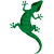 Echsen06