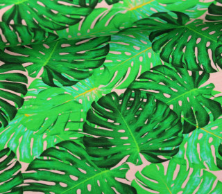 Canvas - Blätter - Leaves - Urban Jungle - Lachsrosa