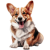 Corgi