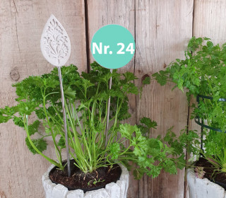 Silikon - Gießform - Blumenstecker - Anhänger - Deko - Muster - Nr. 24 - vielfältig nutzbar