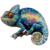 Echsen03